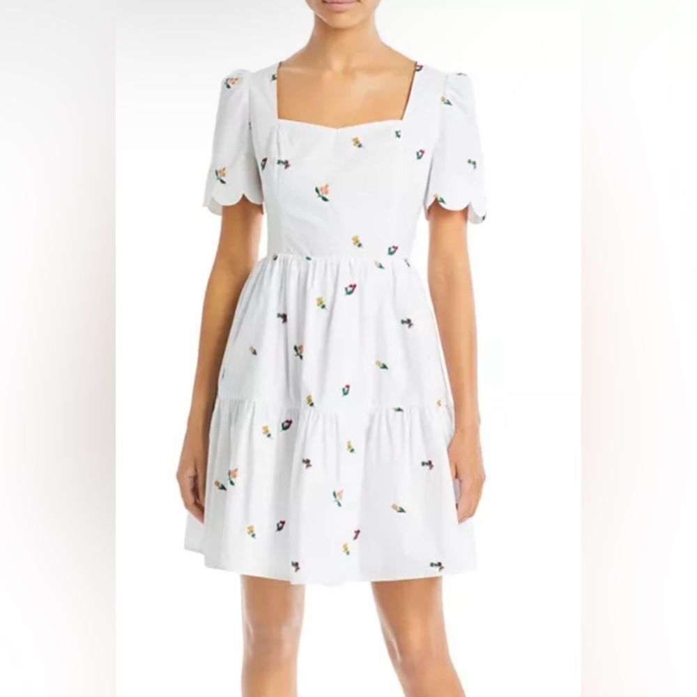 Endless Rose Floral Embroidered Mini Dress C3*